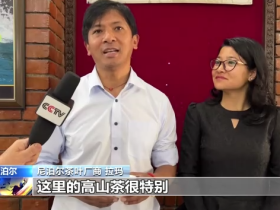 尼泊尔第4届国际茶叶节开幕 中尼茶叶行业对未来合作充满期待
