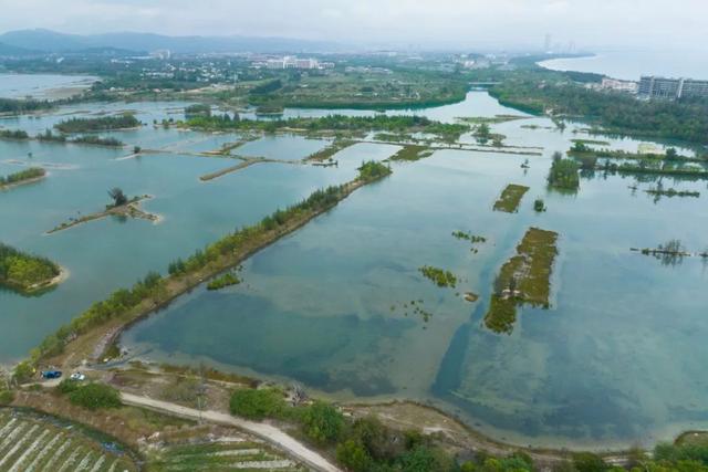 保乐力加“海南时间”:中国市场布局升级,更有“新版图”发布
